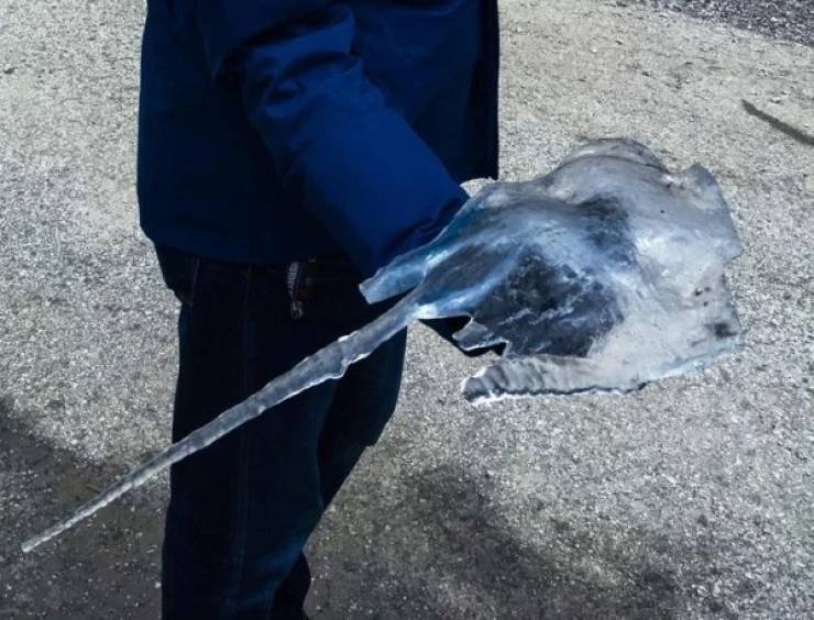 Pictures That Will Make You Look Twice