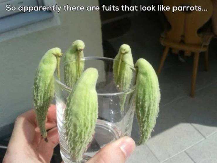 Pictures That Will Make You Look Twice