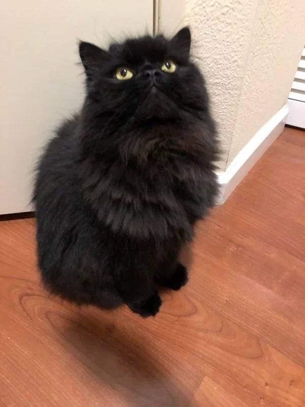 Pictures That Will Make You Look Twice