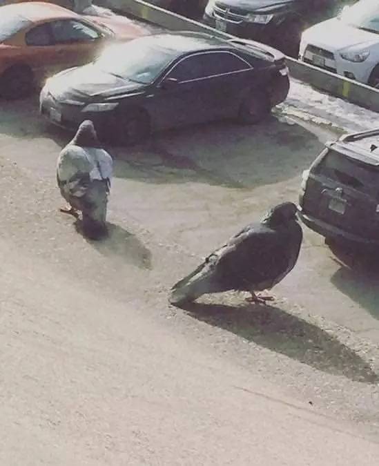 Pictures That Will Make You Look Twice