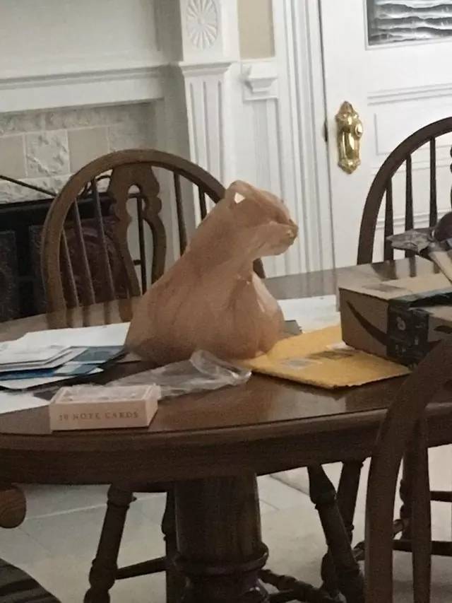 Pictures That Will Make You Look Twice