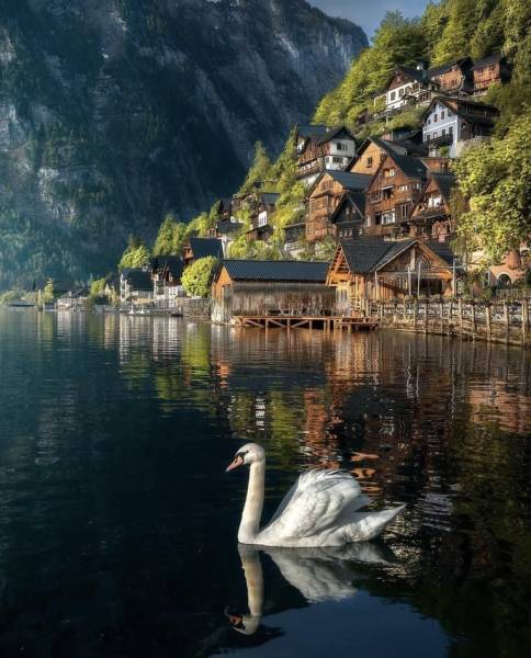 page,6,top 750 daily pics of the year 2019.html - 1 HD Photos | Premium Gallery 2019