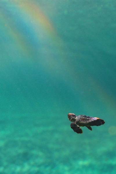 page,19,top 750 daily pics of the year 2019.html - 1 HD Photos | Premium Gallery 2019