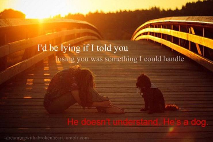 Hipster Captions Are Absolutely Asking For This!