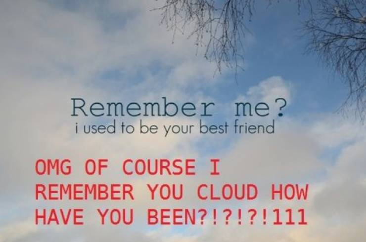 Hipster Captions Are Absolutely Asking For This!