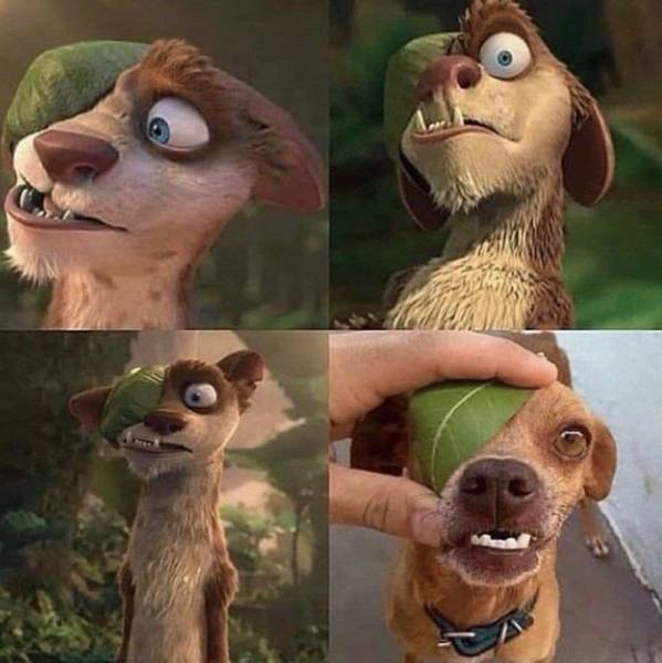 page,19,top 750 daily pics of the year 2019.html - 1 HD Photos | Premium Gallery 2019