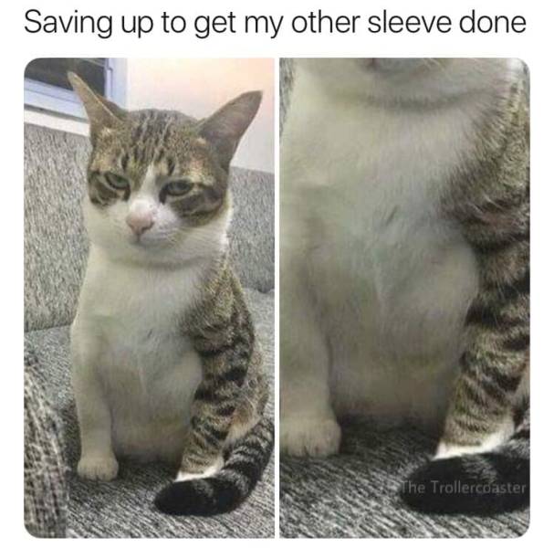 funny picdump 52 pics 21.html - 52 HD Photos | Premium Gallery 2019