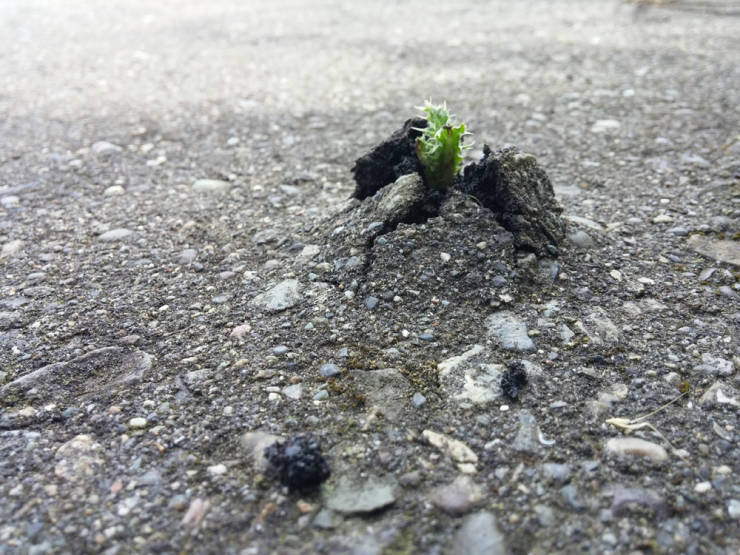 daily picdump weekend edition 50 pics 22.html - 50 HD Photos | Premium Gallery 2019