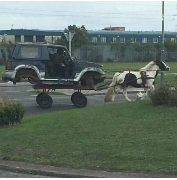 Daily Picdump [WEEKEND EDITION]