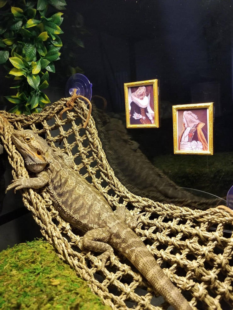 Daily Picdump [WEEKEND EDITION]