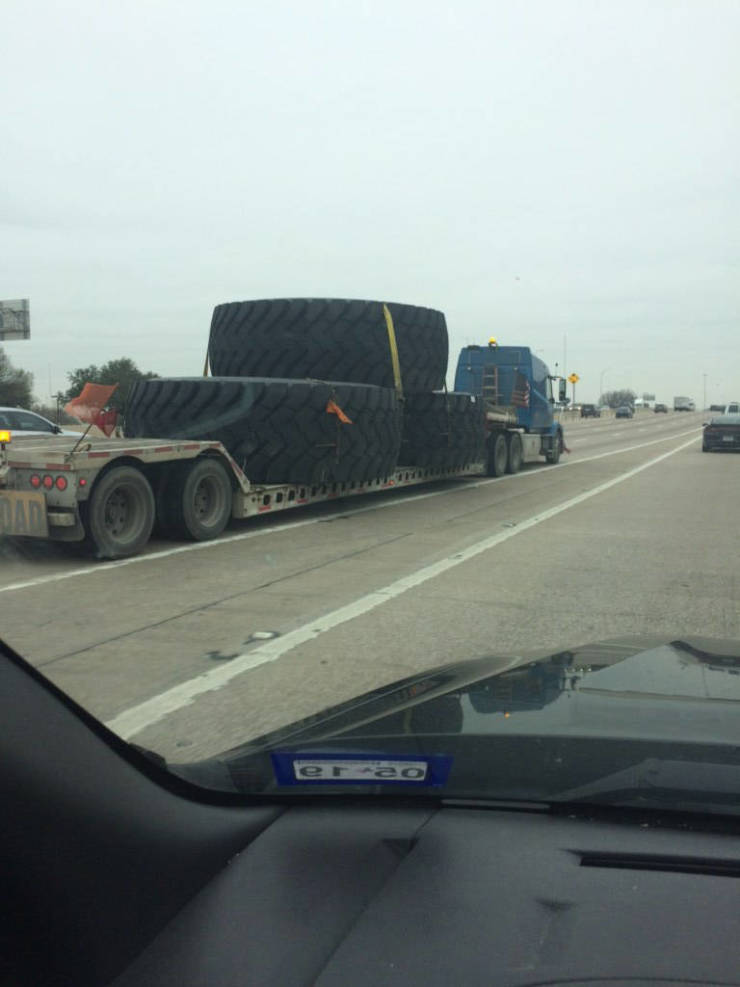 daily picdump weekend edition 50 pics 22.html - 50 HD Photos | Premium Gallery 2019