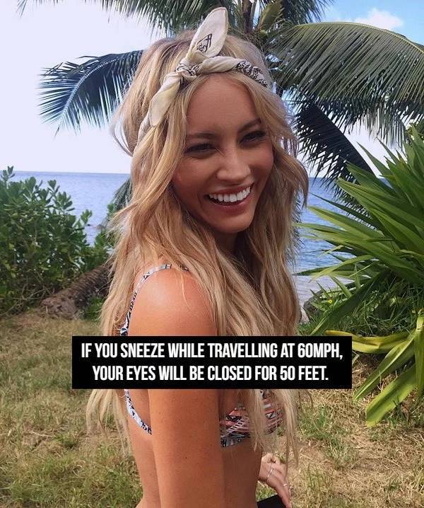 Facts Go Best With Beauties