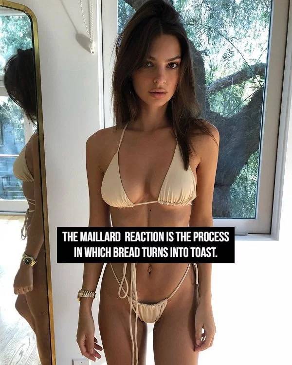 Facts Go Best With Beauties