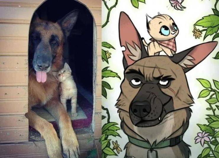 page,12,top 750 daily pics of the year 2019.html - 1 HD Photos | Premium Gallery 2019