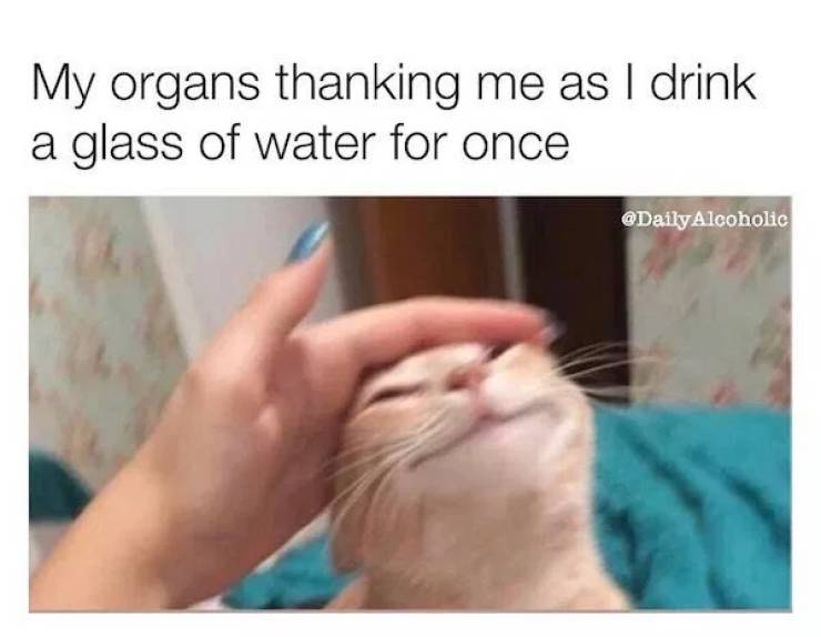 Absolutely 100% Wasted