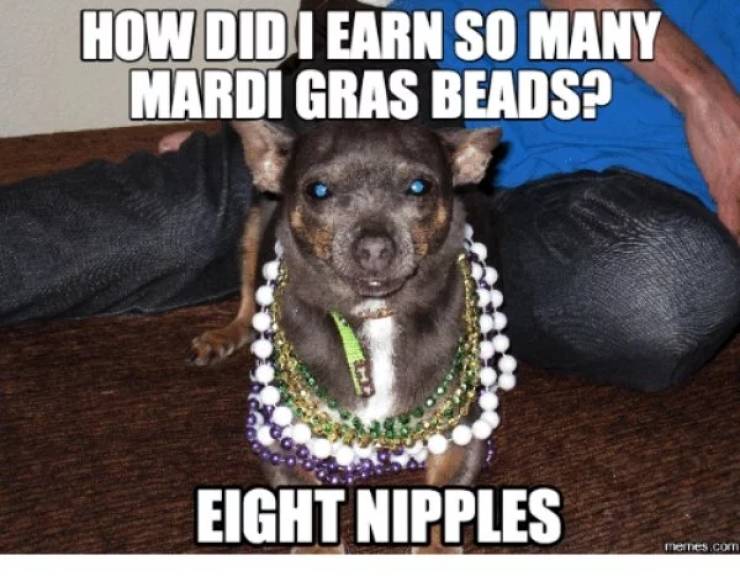 Absolutely 100% Wasted