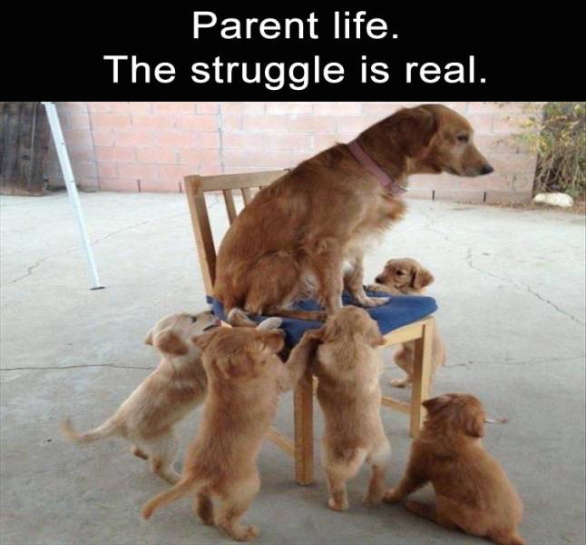 funny picdump 50 pics 7.html - 50 HD Photos | Premium Gallery 2019