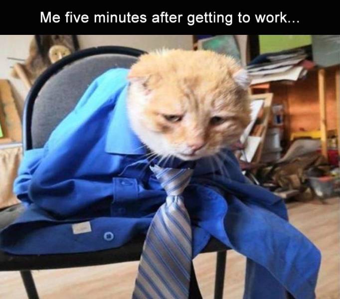 funny picdump 50 pics 7.html - 50 HD Photos | Premium Gallery 2019