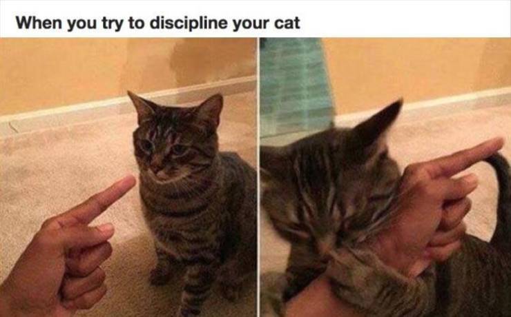 funny picdump 50 pics 7.html - 50 HD Photos | Premium Gallery 2019