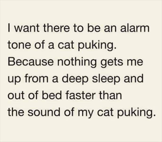 funny picdump 50 pics 7.html - 50 HD Photos | Premium Gallery 2019