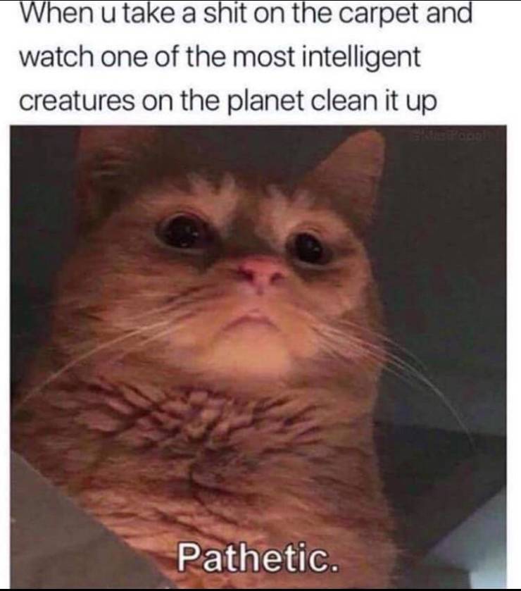 funny picdump 50 pics 7.html - 50 HD Photos | Premium Gallery 2019