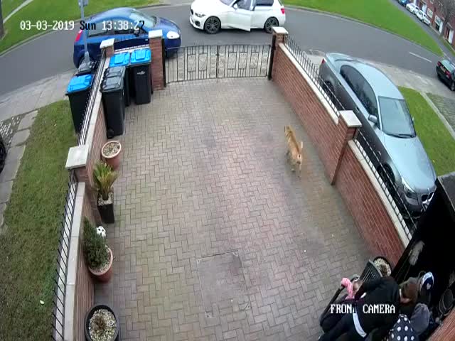 Don’t Touch This Guy’s Mom