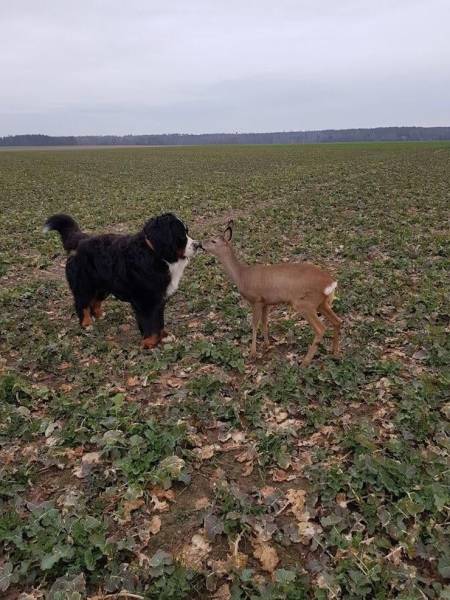 page,20,top 750 daily pics of the year 2019.html - 1 HD Photos | Premium Gallery 2019