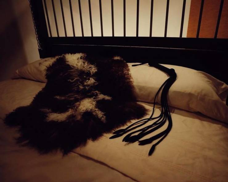 This House Has Some Kinky Secrets