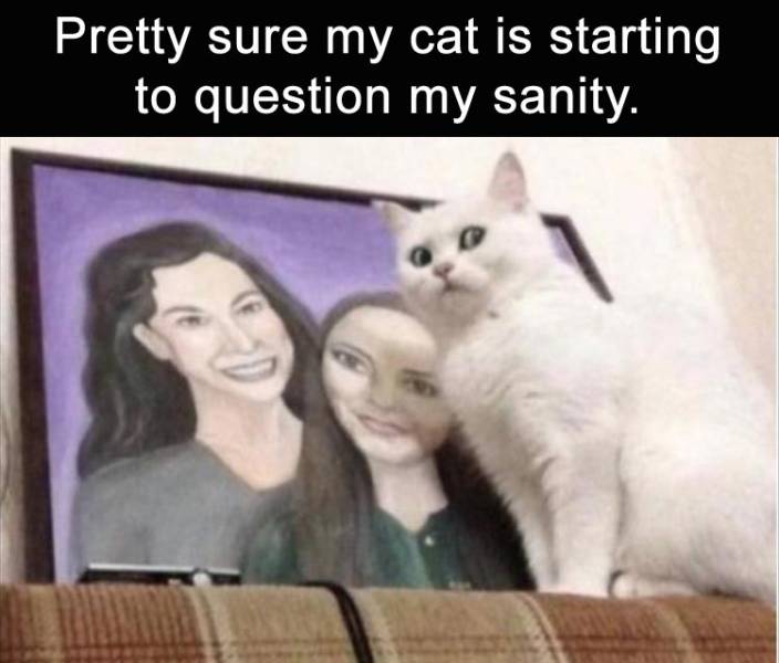 funny picdump 51 pics 2.html - 51 HD Photos | Premium Gallery 2019