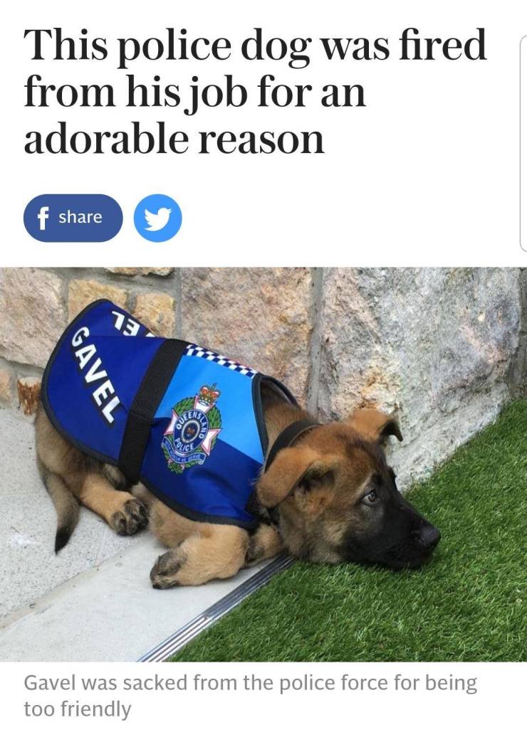 funny picdump 51 pics 2.html - 51 HD Photos | Premium Gallery 2019