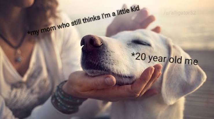 funny picdump 50 pics 21.html - 50 HD Photos | Premium Gallery 2019