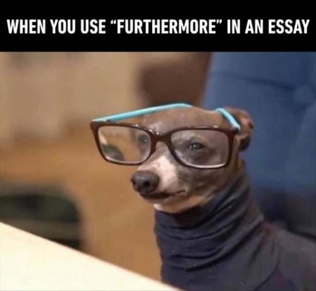 funny picdump 50 pics 21.html - 50 HD Photos | Premium Gallery 2019