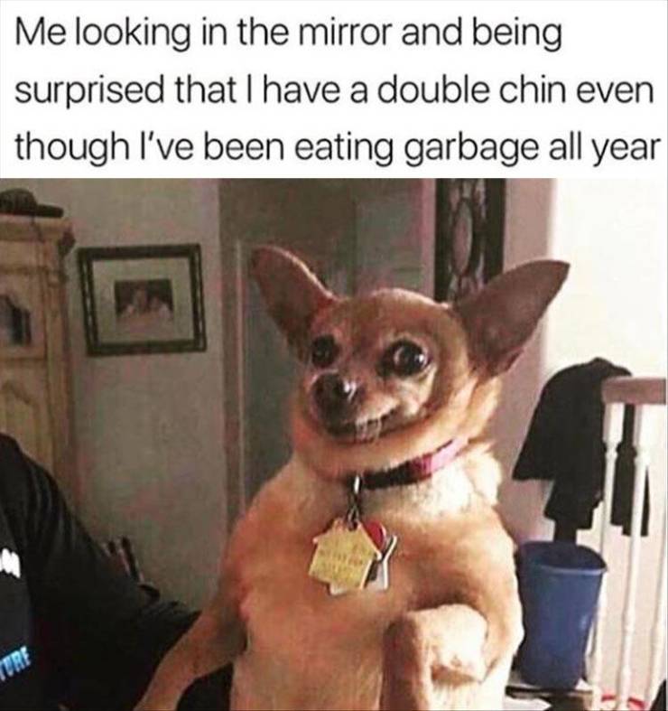 funny picdump 50 pics 21.html - 50 HD Photos | Premium Gallery 2019