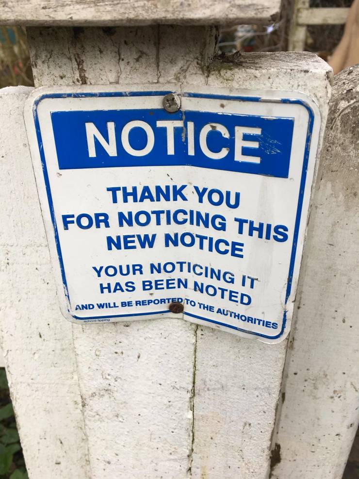 funny picdump 52 pics 5.html - 52 HD Photos | Premium Gallery 2019