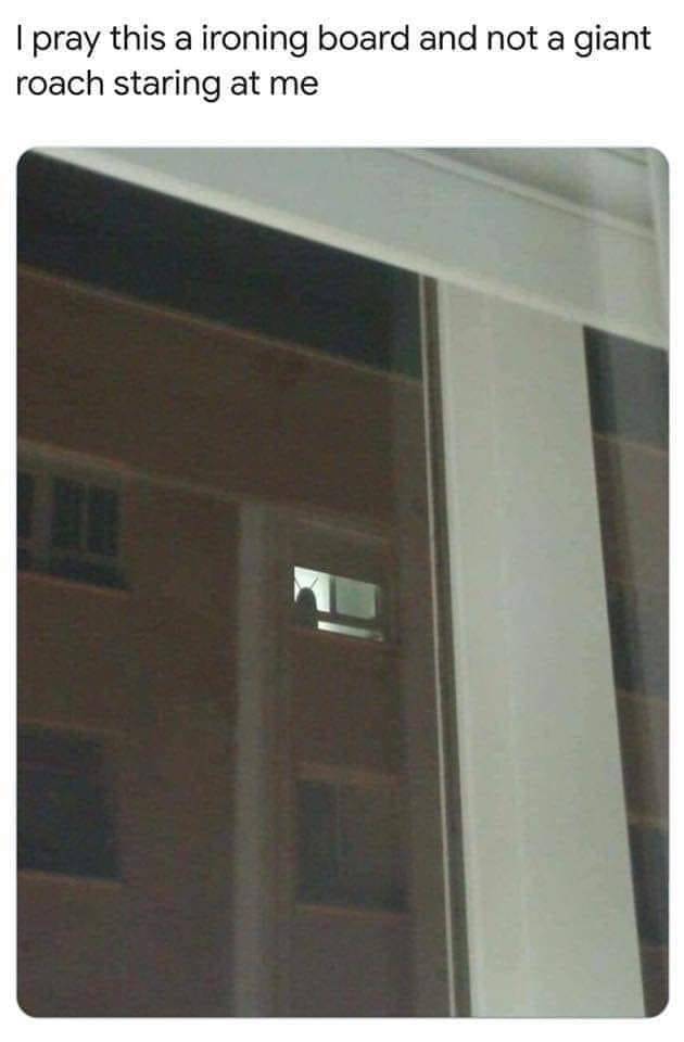 funny picdump 52 pics 5.html - 52 HD Photos | Premium Gallery 2019