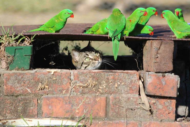 page,4,top 750 daily pics of the year 2019.html - 1 HD Photos | Premium Gallery 2019