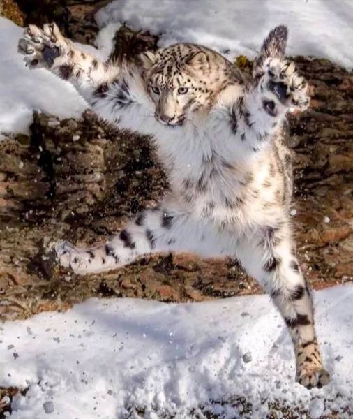 page,12,top 750 daily pics of the year 2019.html - 1 HD Photos | Premium Gallery 2019