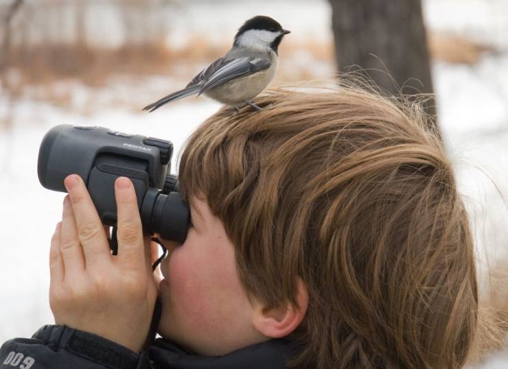 daily picdump 97 pics 49.html - 97 HD Photos | Premium Gallery 2019