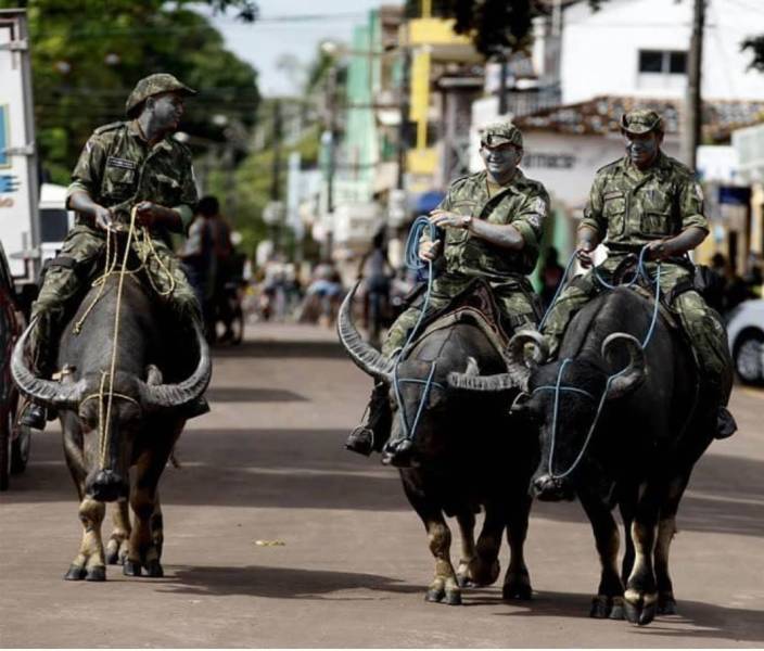 daily picdump 97 pics 49.html - 97 HD Photos | Premium Gallery 2019