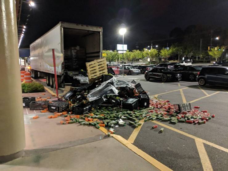 daily picdump 97 pics 49.html - 97 HD Photos | Premium Gallery 2019