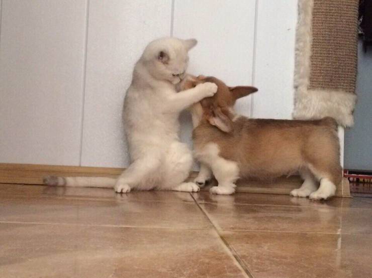 daily picdump 97 pics 49.html - 97 HD Photos | Premium Gallery 2019