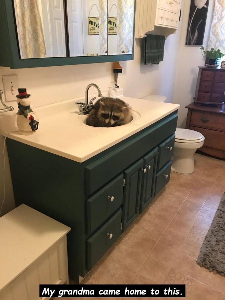 daily picdump 97 pics 49.html - 97 HD Photos | Premium Gallery 2019