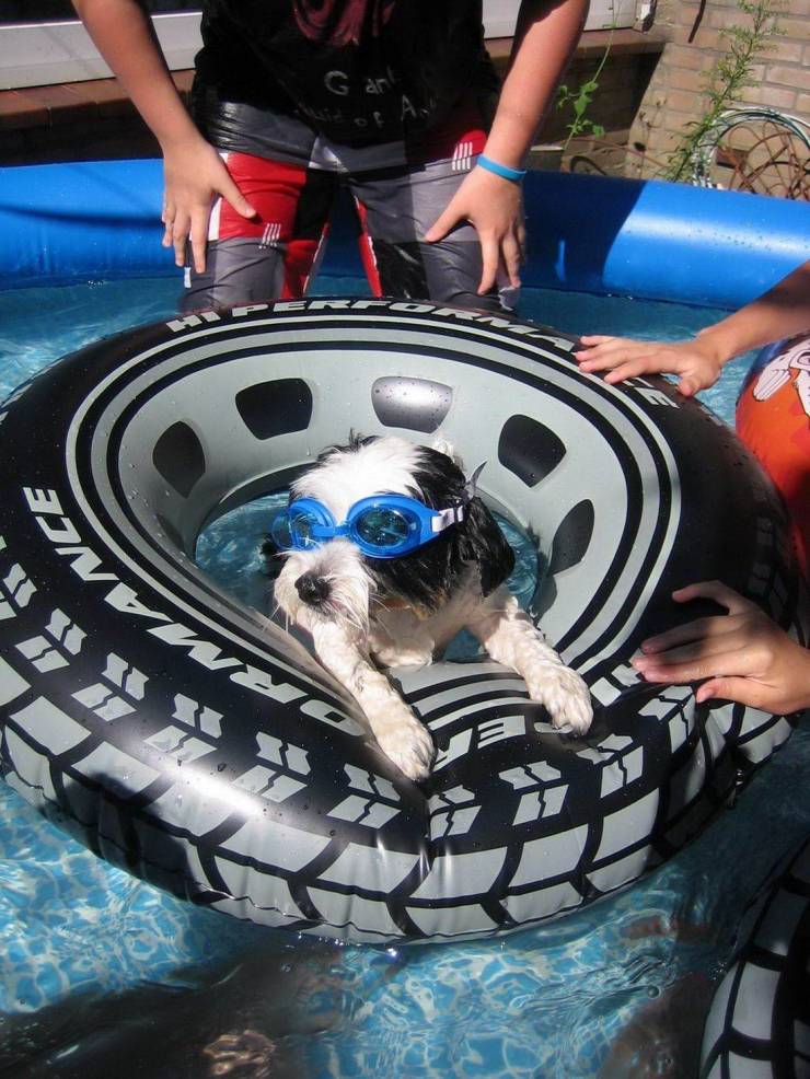 daily picdump 97 pics 49.html - 97 HD Photos | Premium Gallery 2019