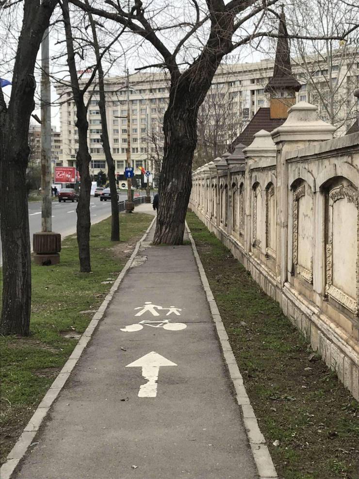 daily picdump 97 pics 49.html - 97 HD Photos | Premium Gallery 2019