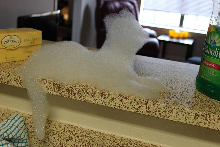 morning picdump 53 pics 3.html - 53 HD Photos | Premium Gallery 2019