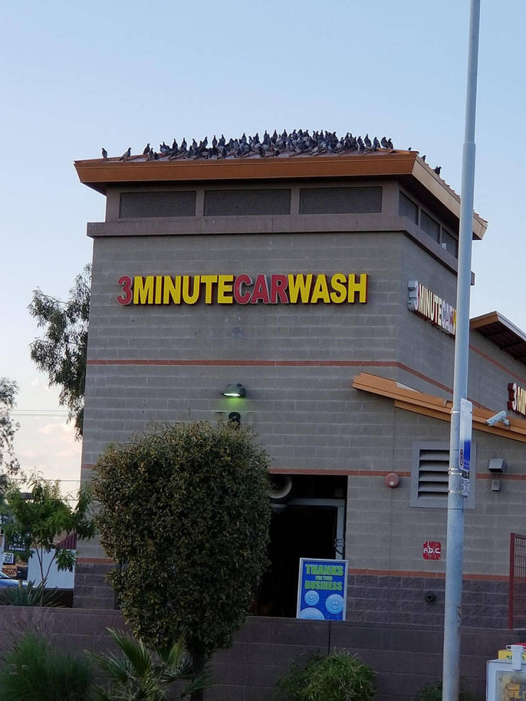 morning picdump 53 pics 3.html - 53 HD Photos | Premium Gallery 2019