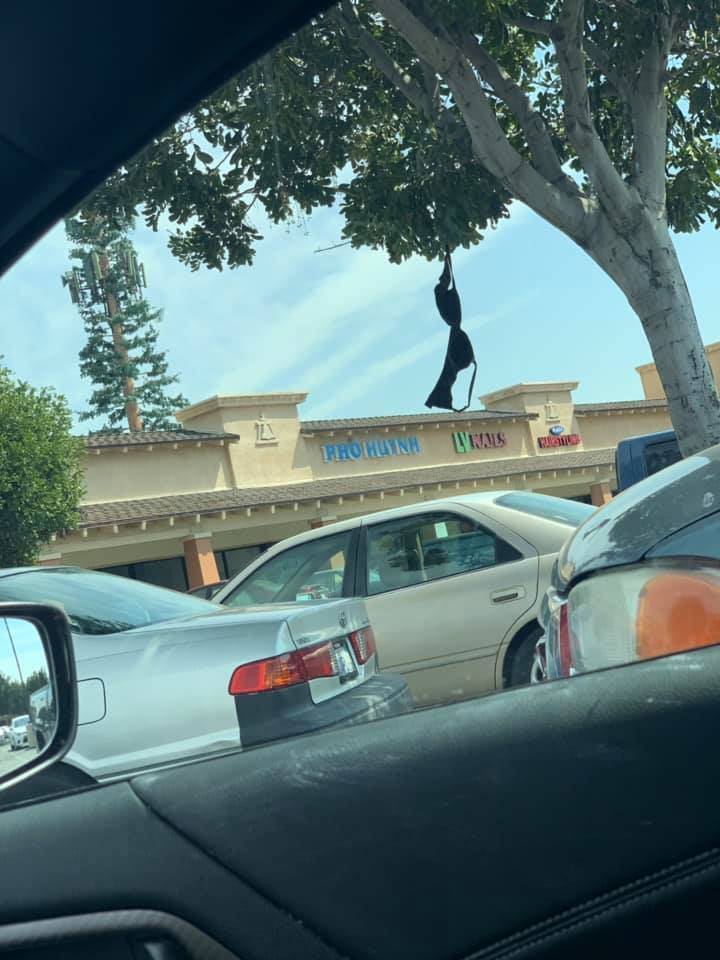 morning picdump 53 pics 3.html - 53 HD Photos | Premium Gallery 2019