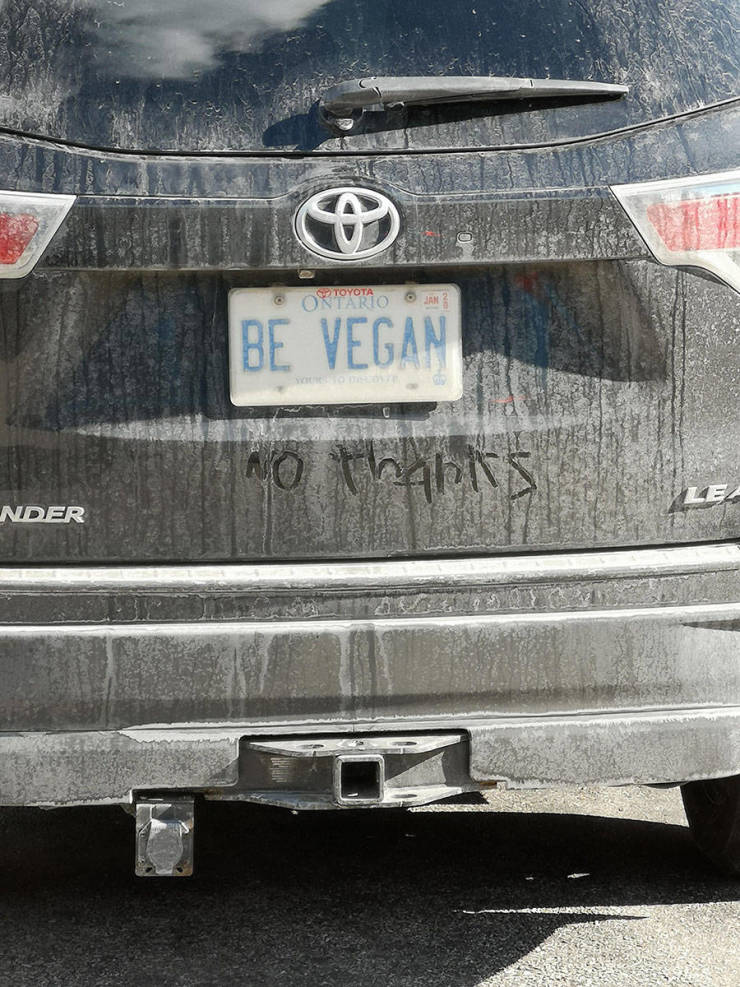 morning picdump 53 pics 3.html - 53 HD Photos | Premium Gallery 2019