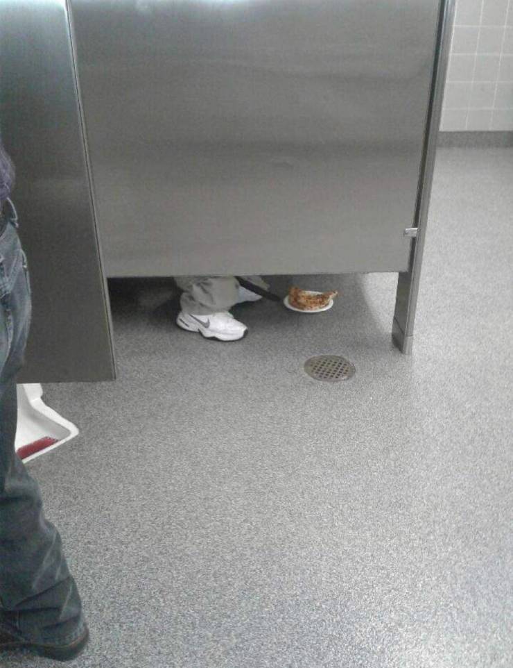 morning picdump 53 pics 3.html - 53 HD Photos | Premium Gallery 2019