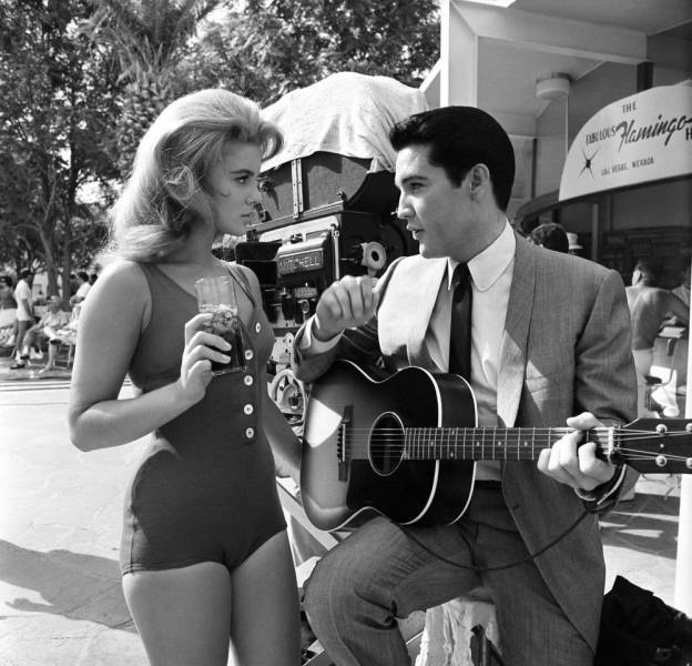 page,7,top 750 daily pics of the year 2019.html - 1 HD Photos | Premium Gallery 2019